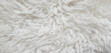 Beyaz yün doku arka plan, pamuk, beyaz yün, hafif doğal koyun yünü, beyaz tüylü kürk dokusu, beyaz uzun yün palto, bej renkli halı, yakın çekim makrosu.