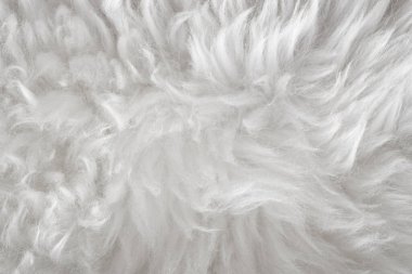 Beyaz yün dokusu arka plan, açık doğal koyun yünü, beyaz tüylü kürk dokusu, uzun yün halıyı kapat