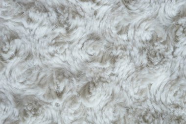 Kıvrımlı beyaz yün, pamuk, hafif doğal koyun yünü, beyaz tüylü kürk dokusu, halı, örgü desenli beyaz yün.