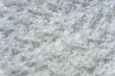 Kıvrımlı beyaz yün, pamuk, hafif doğal koyun yünü, beyaz tüylü kürk dokusu, halı, örgü desenli beyaz yün.