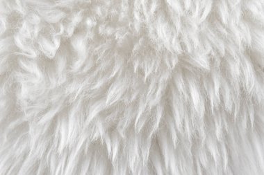 Beyaz üst desenli beyaz yün, açık doğal koyun yünü, dikişsiz beyaz pamuk, tasarımcılar için tüylü kürk dokusu, yakın plan beyaz yün halı.