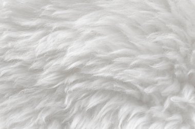 Beyaz üst desenli beyaz yün, açık doğal koyun yünü, dikişsiz beyaz pamuk, tasarımcılar için tüylü kürk dokusu, yakın plan beyaz yün halı.