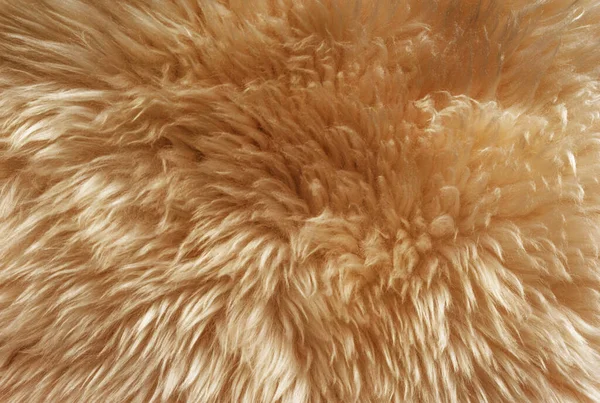 ブラウンふわふわの羊のウールのテクスチャ オレンジの天然ウールの背景 デザイナーのための毛皮のテクスチャのクローズアップ — ストック写真