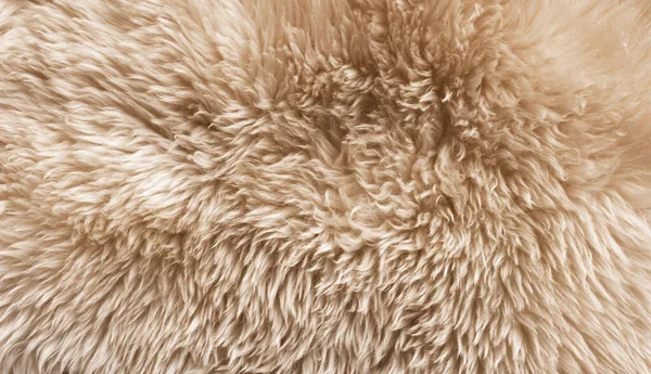 Brown soft wool texture background, cotton wool, light ginger natural sheep wool, close-up texture of white fluffy fur, wool with beige tone, fur with a delicate peach tint