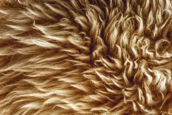 Fundo Textura Macia Marrom Algodão Ovelha Natural Gengibre Leve Textura — Fotografia de Stock