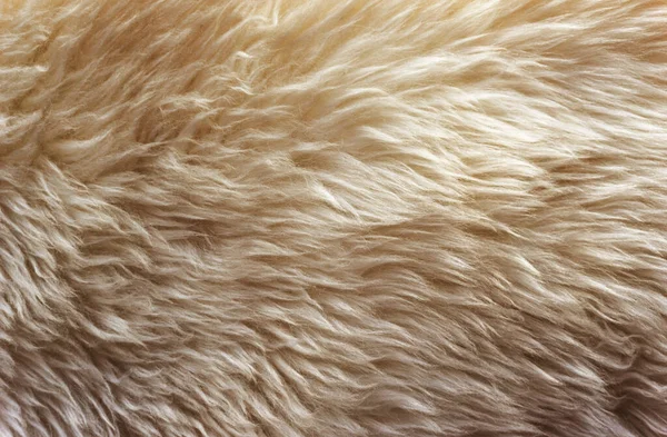 Braun Weiche Wolle Textur Hintergrund Watte Leichter Ingwer Natürliche Schafwolle — Stockfoto
