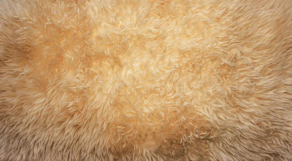 Brown soft wool texture background, cotton wool, light ginger natural sheep wool, close-up texture of white fluffy fur, wool with beige tone, fur with a delicate peach tint