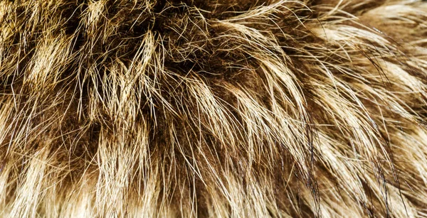 Hintergrund Braune Wolltextur Watte Ingwervlies Braune Natürliche Schafwolle Struktur Aus — Stockfoto