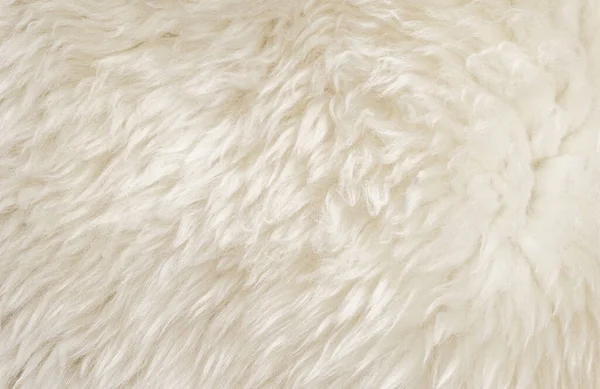 Bianco Soffice Trama Lana Pecora Sfondo Lana Naturale Beige Texture — Foto Stock