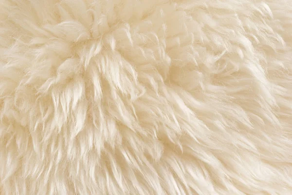 Beyaz Tüylü Koyun Yünü Dokusu Bej Doğal Yün Arka Plan — Stok fotoğraf