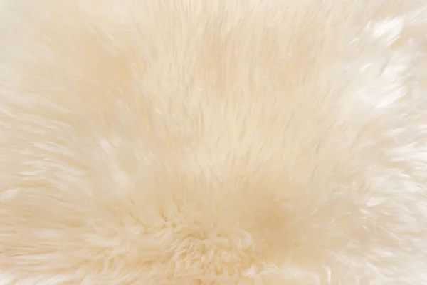 Textura Ovelha Macia Branca Fundo Natural Bege Textura Pele Close — Fotografia de Stock