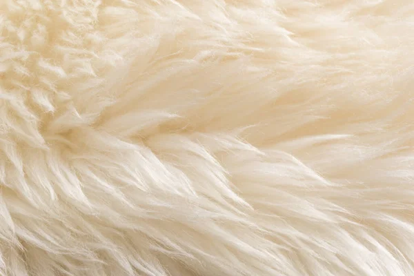 White Fluffy Sheep Wool Texture Beige Natural Wool Background Fur — Stock Photo, Image