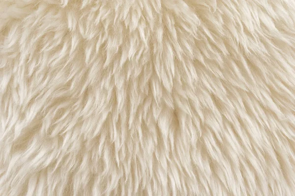 Vit Fluffig Fårull Struktur Beige Naturlig Ull Bakgrund Päls Struktur — Stockfoto