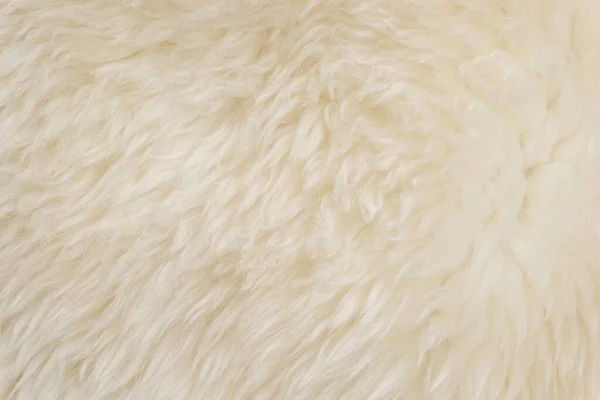 白色绒毛羊毛绒质感 米色天然羊毛背景 毛皮质感特写 供设计师参考 — 图库照片