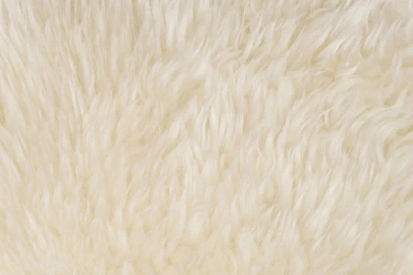 Weiße Flauschige Schafwolle Textur Beige Naturwolle Hintergrund Pelztextur Nahaufnahme Für — Stockfoto