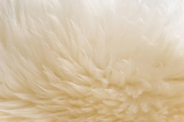 Witte Pluizige Schapenwol Textuur Beige Natuurlijke Wol Achtergrond Bont Textuur — Stockfoto