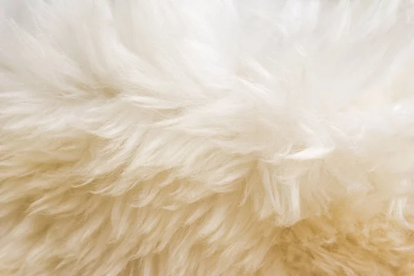 Weiße Flauschige Schafwolle Textur Beige Naturwolle Hintergrund Pelztextur Nahaufnahme Für — Stockfoto