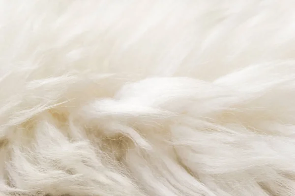 Λευκό Χνουδωτό Μαλλί Προβάτου Υφή Μπεζ Φυσικό Μαλλί Φόντο Γούνα — Φωτογραφία Αρχείου