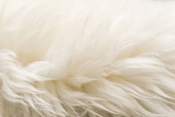 白いふわふわの羊のウールのテクスチャ ベージュの天然ウールの背景 デザイナーのための毛皮のテクスチャのクローズアップ — ストック写真