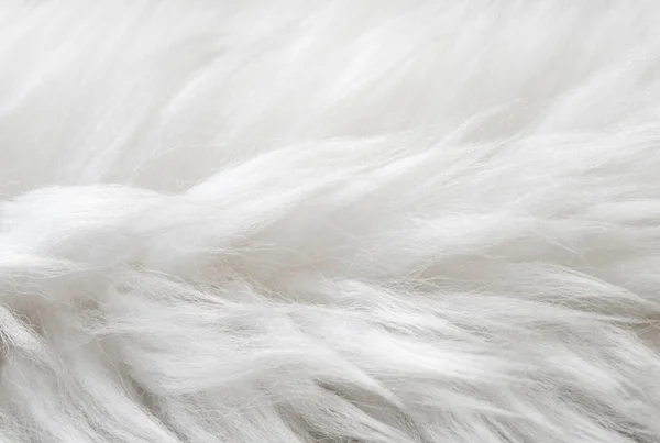 Textura Ovelha Macia Branca Fundo Natural Textura Pele Close Para — Fotografia de Stock