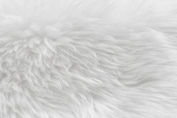 Fehér Bolyhos Gyapjú Textúra Természetes Gyapjú Háttér Szőrme Textúra Közelkép — Stock Fotó