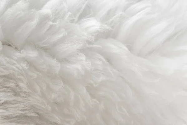 白色绒毛质地 天然羊毛背景 为设计师提供的毛皮质地特写 轻质长毛动物 — 图库照片