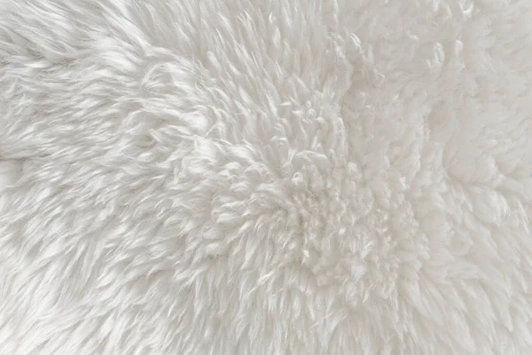 白いふわふわのウールのテクスチャ 自然なウールの背景 デザイナーのための毛皮のテクスチャのクローズアップ 軽い長い毛皮の動物 — ストック写真