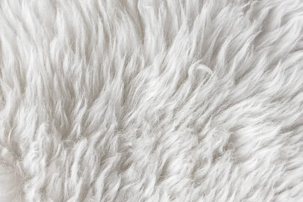 Белая Мягкая Шерсть Текстура Фона Вата Светлая Натуральная Кожа Овец — стоковое фото