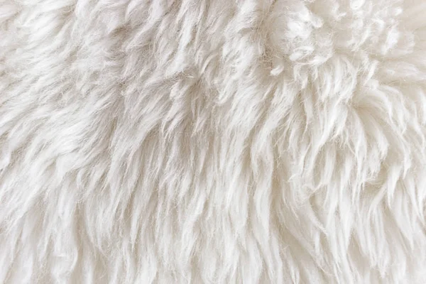 White soft wool texture background, cotton wool, light natural sheep skin, close-up texture of white fluffy fur, wool with beige tone, fur with a delicate peach tint