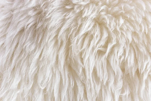 Weiße Weiche Wolltextur Hintergrund Watte Leichtes Natürliches Schaffell Nahaufnahme Textur — Stockfoto