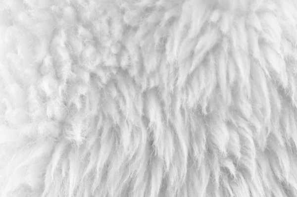 Bianco Morbido Tessuto Lana Sfondo Cotone Idrofilo Luce Naturale Lana — Foto Stock