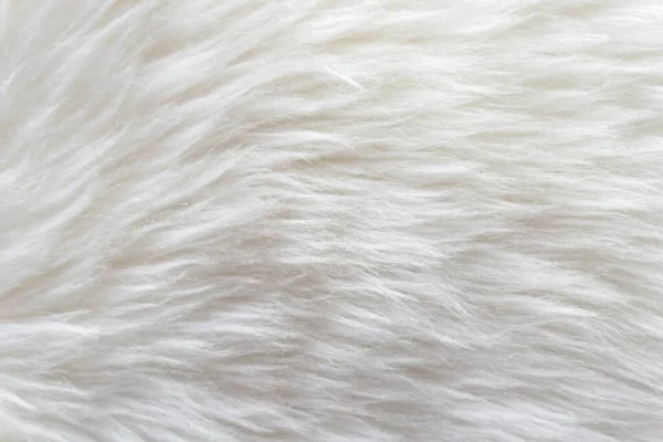Weiße Weiche Wolle Textur Hintergrund Watte Leichte Natürliche Schafwolle Nahaufnahme — Stockfoto
