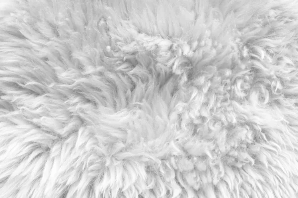 Fehér Puha Gyapjú Textúra Háttér Pamut Gyapjú Könnyű Természetes Juhgyapjú — Stock Fotó