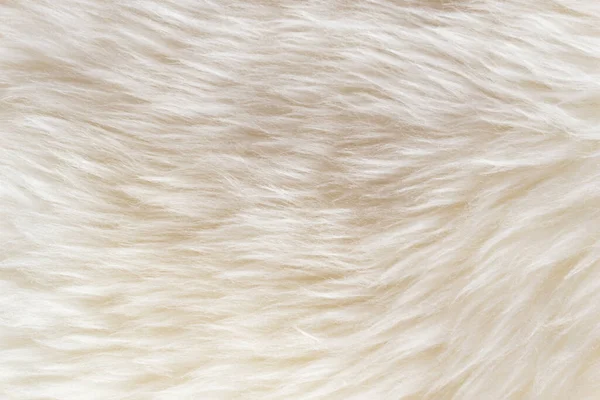Witte Zachte Wol Textuur Achtergrond Katoen Wol Lichte Natuurlijke Schapenwol — Stockfoto