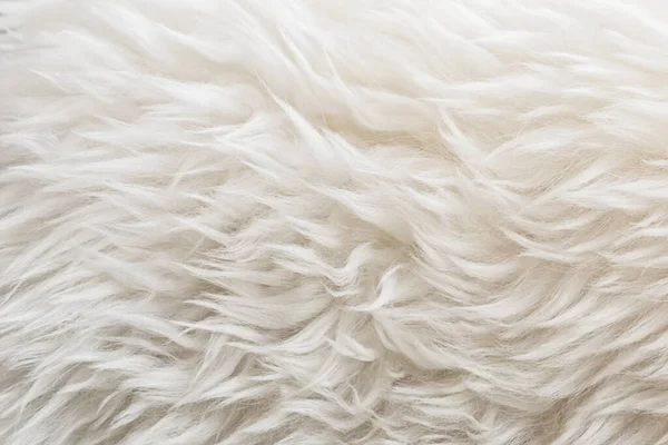 白い柔らかいウールの質感の背景 綿ウール 軽い天然羊のウール 白いふわふわの毛皮のクローズアップテクスチャ ベージュトーンのウール 繊細な桃の色合いの毛皮 — ストック写真