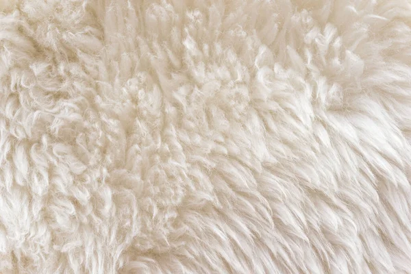 White soft wool texture background, cotton wool, light natural sheep wool, close-up texture of white fluffy fur,  wool with beige tone, fur with a delicate peach tint