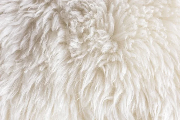 White soft wool texture background, cotton wool, light natural sheep wool, close-up texture of white fluffy fur,  wool with beige tone, fur with a delicate peach tint