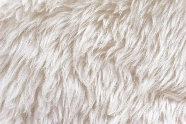 White soft wool texture background, cotton wool, light natural sheep wool, close-up texture of white fluffy fur,  wool with beige tone, fur with a delicate peach tint