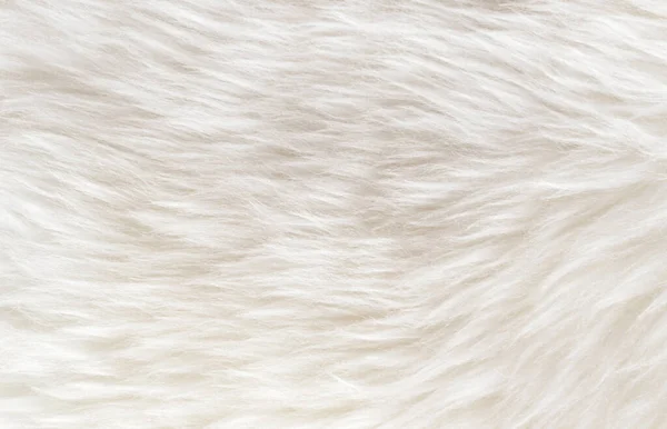 白色软毛背景 浅色天然羊毛 白色绒毛的特写纹理 米色色调的毛 带有淡淡的桃色的毛 — 图库照片