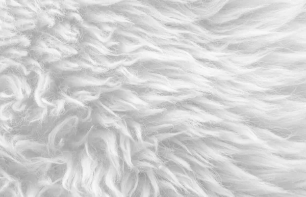 Bílá Měkká Vlna Textura Pozadí Bezešvé Bavlněné Vlny Lehké Přírodní — Stock fotografie