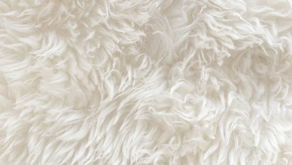 White soft wool texture background, seamless cotton wool, light natural sheep wool, close-up texture of white fluffy fur, wool with beige tone for designer