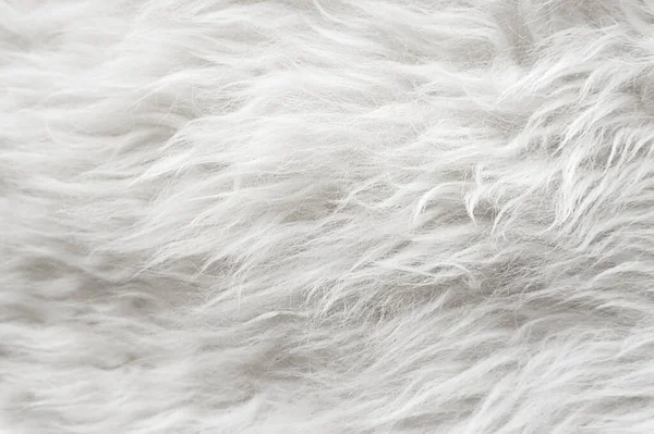 Fundo Textura Macia Branca Algodão Sem Costura Ovelha Natural Leve — Fotografia de Stock