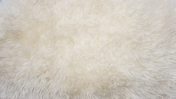白い柔らかいウールの質感の背景 シームレスな綿のウール 軽い天然羊のウール 白いふわふわの毛皮のクローズアップテクスチャ デザイナーのためのベージュトーンのウール — ストック写真