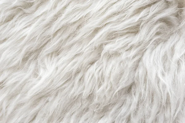 Λευκό Μαλακό Μαλλί Υφή Φόντο Αδιάλειπτη Μαλλί Βαμβάκι Ελαφρύ Φυσικό — Φωτογραφία Αρχείου