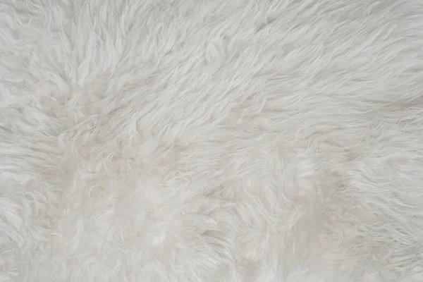 白色软毛背景 无缝棉毛 浅色天然羊毛 白色绒毛的特写纹理 米色色调的羊毛为设计师设计 — 图库照片