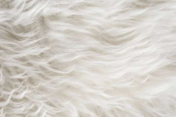 White Soft Wool Texture Background Seamless Cotton Wool Light Natural — Stock Photo, Image