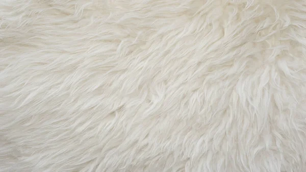 Fehér Puha Gyapjú Textúra Háttér Varrat Nélküli Pamut Gyapjú Könnyű — Stock Fotó