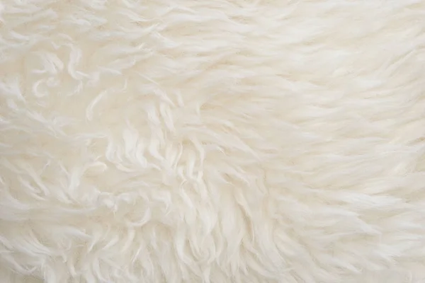 白い柔らかいウールの質感の背景 シームレスな綿のウール 軽い天然羊のウール 白いふわふわの毛皮のクローズアップテクスチャ デザイナーのためのベージュトーンのウール — ストック写真