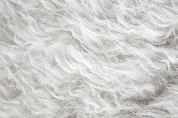 White soft wool texture background, seamless cotton wool, light natural sheep wool, close-up texture of white fluffy fur, wool with beige tone for designer