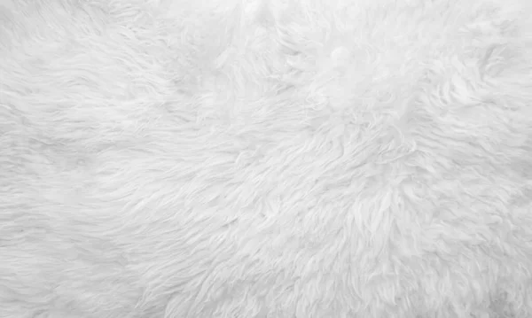 White Soft Wool Texture Background Seamless Cotton Wool Light Natural — Stock Photo, Image